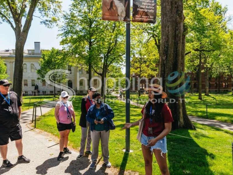 70 minute harvard tour in Boston - Tour in  Boston