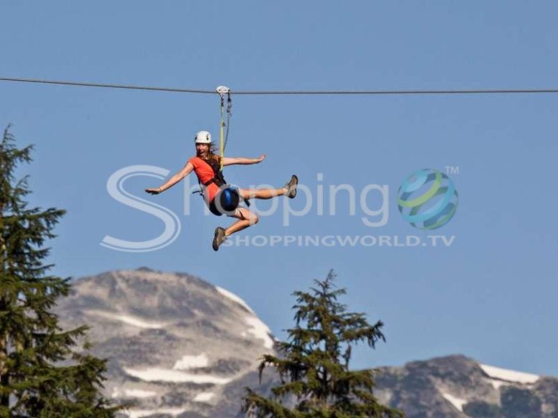 Ziptrek bear tour in Whistler - Tour in  Whistler